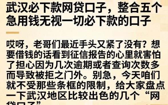 在武汉必下款的网贷口子,整合五个急用钱无视一切必下款的口子