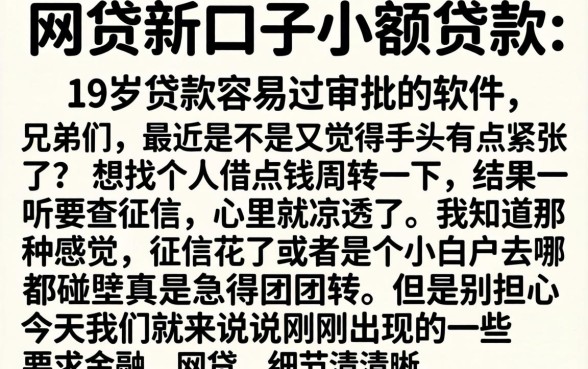 网贷新口子小额贷款，详细阐述五个19岁贷款容易过审批的软件