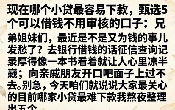 现在哪个小贷最容易下款，甄选5个可以借钱不用审核的口子