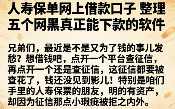 人寿保单网上借款口子,整理五个网黑真正能下款的软件