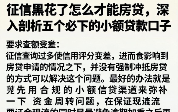 征信黑花了怎么才能房贷，深入剖析五个必下的小额贷款口子