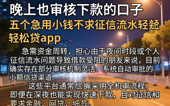 晚上也审核下款的口子，概括五个急用小钱不求征信流水轻松贷的app