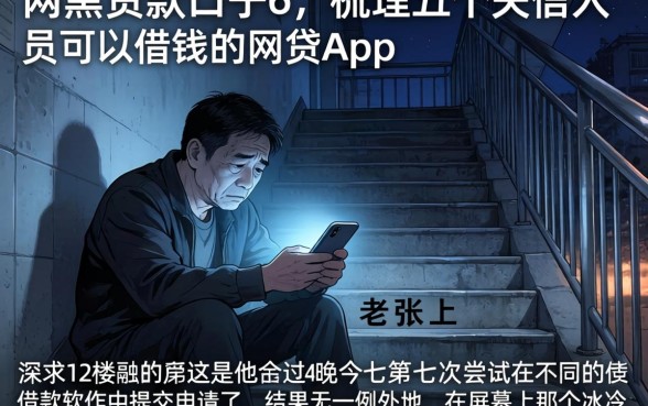 网黑的贷款口子6，梳理五个失信人员可以借钱的网贷app