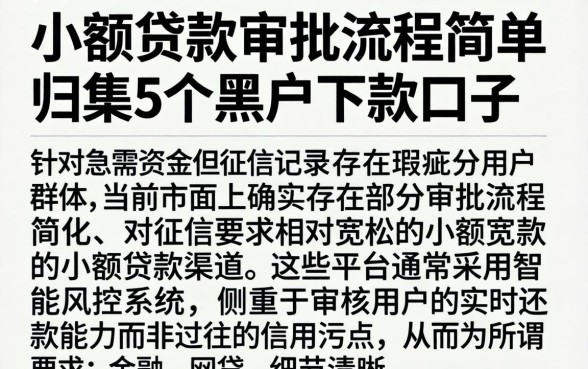 小额贷款审批流程简单，归集5个黑户下款口子
