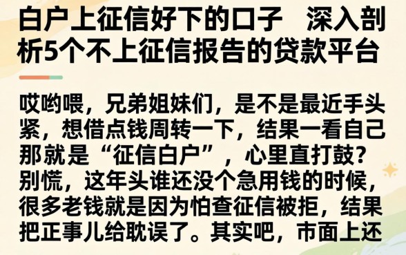 白户上征信好下的口子，深入剖析5个不上征信报告的贷款平台