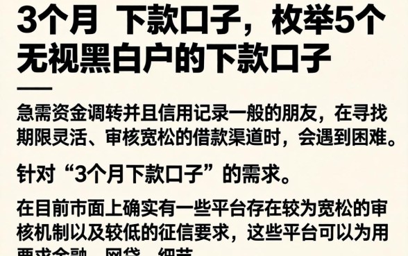 3个月的下款口子，枚举5个无视黑白户的下款口子