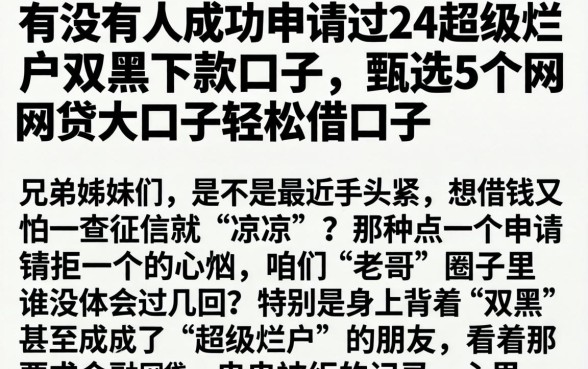 有没有人成功申请过24超级烂户双黑下款口子，甄选5个网贷大口子轻松借口子
