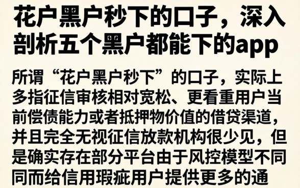 花户黑户秒下的口子，深入剖析五个黑户都能下的app