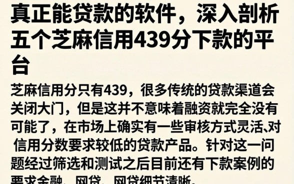 真正能贷款的软件，深入剖析五个芝麻信用439分下款的平台
