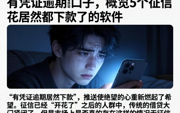有凭证逾期的口子，概览5个征信花居然都下款了的软件