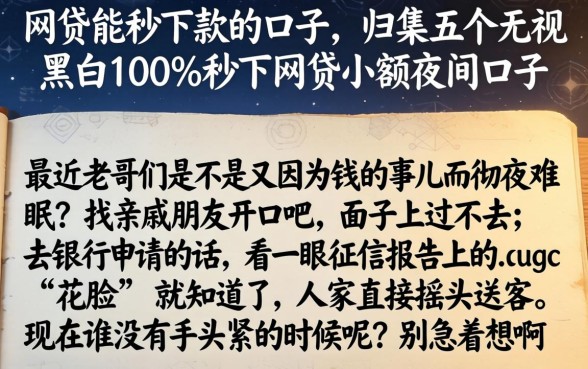 网贷能秒下款的口子，归集五个无视黑白100%秒下网贷小额夜间口子