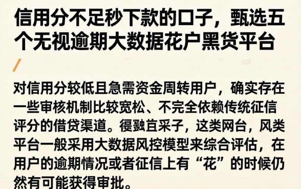 信用分不足秒下款的口子，甄选五个无视逾期大数据花户黑户平台