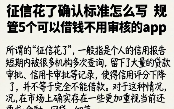 征信花了确认标准怎么写，规整5个可以借钱不用审核的app