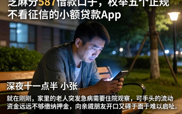 芝麻分587借款口子，枚举五个正规不看征信的小额贷款app