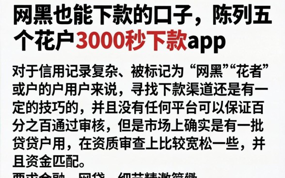 网黑也能下款的口子,陈列五个花户3000秒下款app