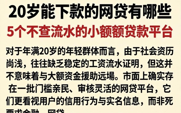 20岁能下款的网贷有哪些，条列5个不查流水的小额度贷款平台