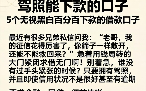 驾照能下款的口子,详细阐述5个无视黑白百分百下款的借款口子