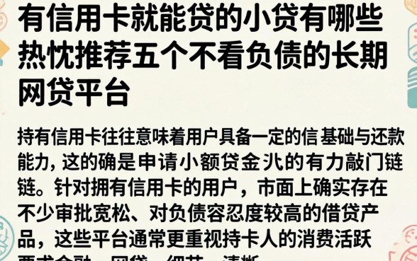 有信用卡就能贷的小贷有哪些，热忱推荐五个不看负债的长期网贷平台