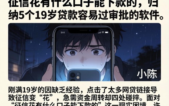 征信花有什么口子能下款的，归纳5个19岁贷款容易过审批的软件