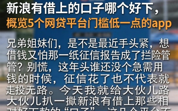 新浪有借上的口子哪个好下，概览5个网贷平台门槛低一点的app