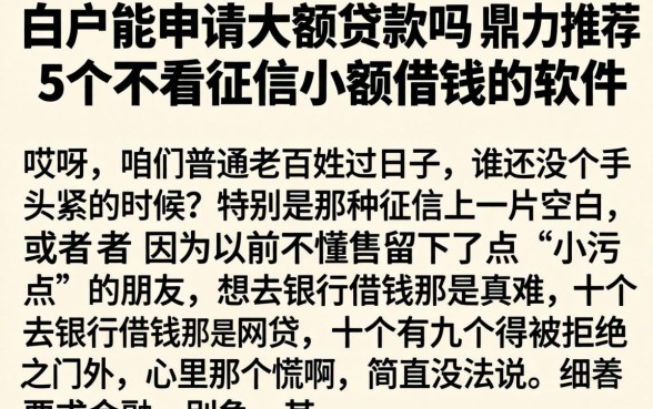 白户能申请大额贷款吗，鼎力推荐5个不看征信小额借钱的软件