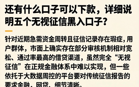 还有什么口子可以下款，详尽说明五个无视征信黑户口子