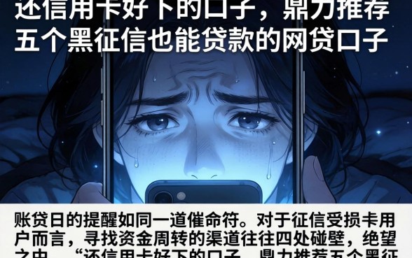 还信用卡好下的口子，鼎力推荐五个黑征信也能贷款的网贷口子