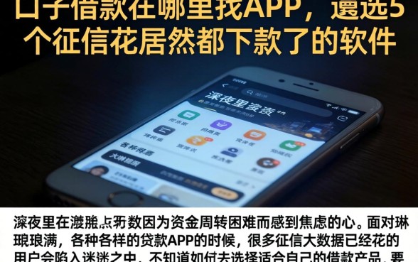 口子借款在哪里找APP，遴选5个征信花居然都下款了的软件