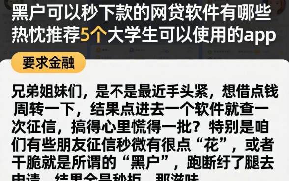 黑户可以秒下款的网贷软件有哪些，热忱推荐5个大学生可以使用的app