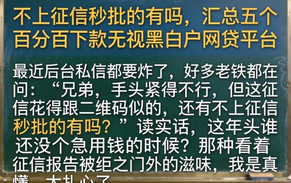 不上征信秒批的有吗，汇总五个百分百下款无视黑白户网贷平台