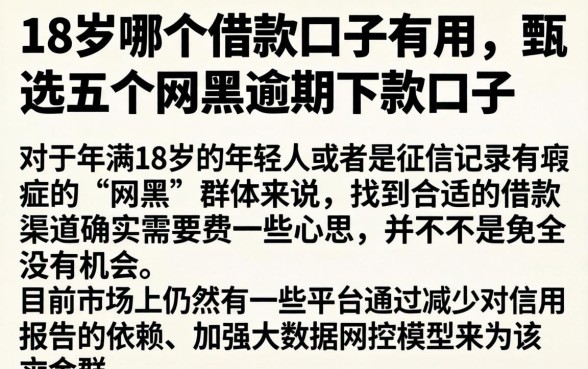 18岁哪个借款口子有用，甄选五个网黑逾期下款口子