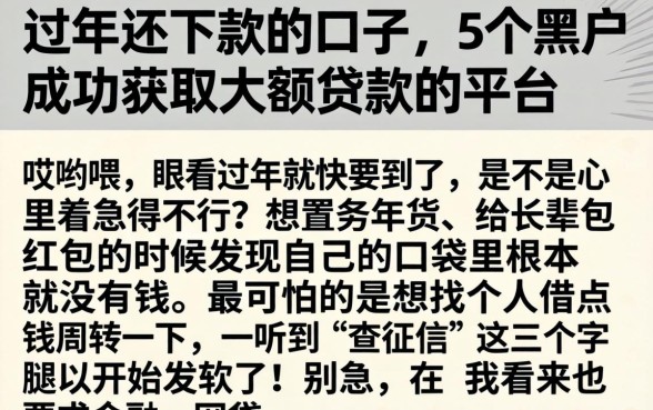 过年还下款的口子，详细阐述5个黑户成功获取大额贷款的平台