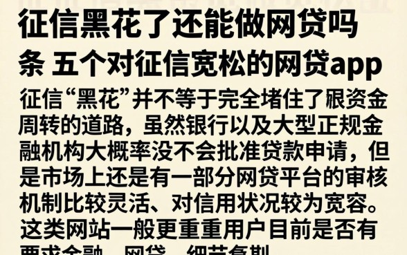 征信黑花了还能做网贷吗，条列五个对征信宽松的网贷app