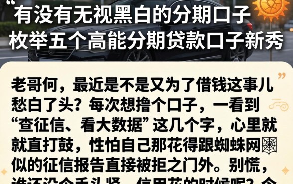 有没有无视黑白的分期口子，枚举五个高能分期贷款口子新秀