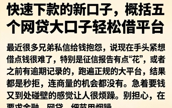 快速下款的新口子，概括五个网贷大口子轻松借平台