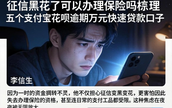 征信黑花了可以办理保险吗，梳理五个支付宝花呗逾期万元快速贷款口子
