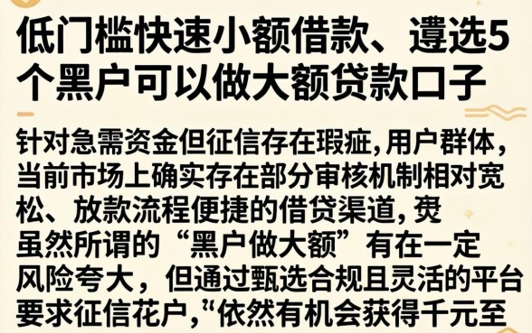 低门槛快速小额借款，遴选5个黑户可以做大额贷款口子