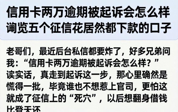 信用卡两万逾期被起诉会怎么样，概览五个征信花居然都下款的口子