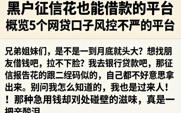 黑户征信花也能借款的平台，概览5个网贷口子风控不严的平台