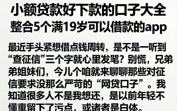 小额贷款好下款的口子大全，整合5个满19岁可以借款的app
