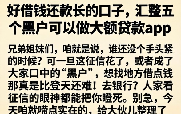 好借钱还款长的口子，汇整五个黑户可以做大额贷款app