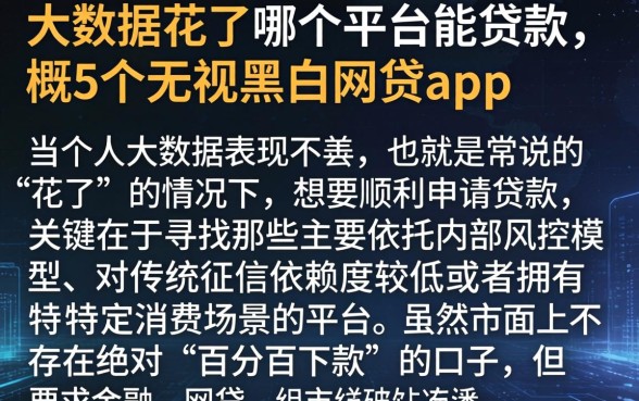 大数据花了哪个平台能贷款，概览5个无视黑白的网贷app