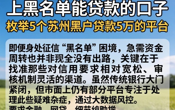 上黑名单能贷款的口子,枚举5个苏州黑户贷款5万的平台