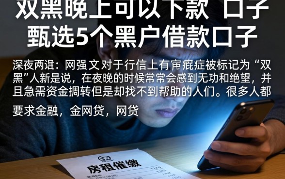 双黑晚上可以下款的口子，甄选5个黑户借款口子