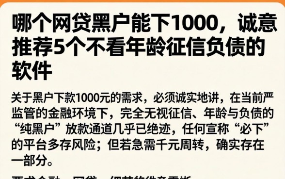 哪个网贷黑户能下1000，诚意推荐5个不看年龄征信负债的软件