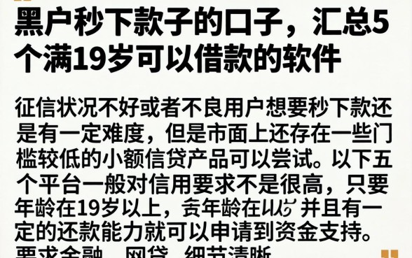 黑户秒下款子的口子，汇总5个满19岁可以借款的软件
