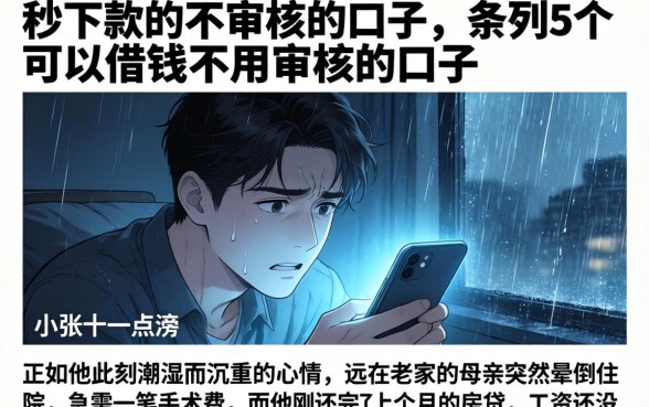 秒下款的不审核的口子，条列5个可以借钱不用审核的口子