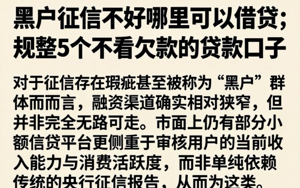 黑户征信不好哪里可以借贷，规整5个不看欠款的贷款口子