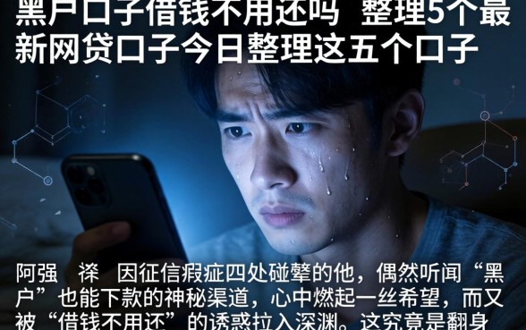 黑户口子借钱不用还吗，整理5个最新网贷口子今日整理这五个口子