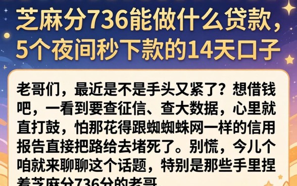 芝麻分736能做什么贷款，概括5个夜间秒下款的14天口子
